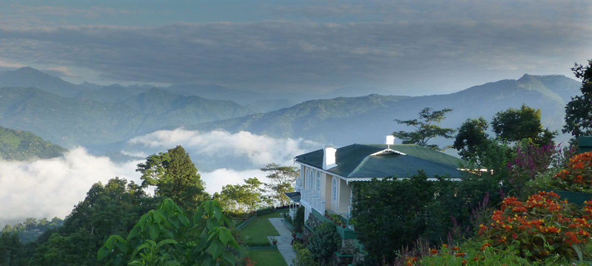 tea-estate-tour-in-darjeeling